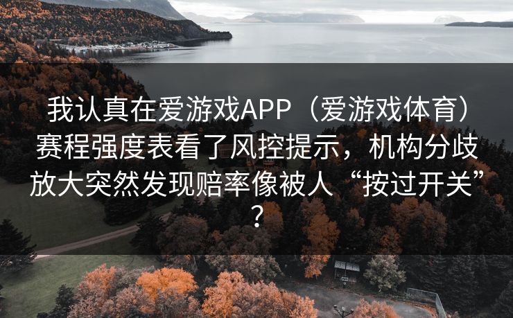 我认真在爱游戏APP（爱游戏体育）赛程强度表看了风控提示，机构分歧放大突然发现赔率像被人“按过开关”？